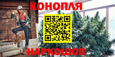 шишки Северобайкальск
