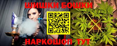 шишки Северобайкальск