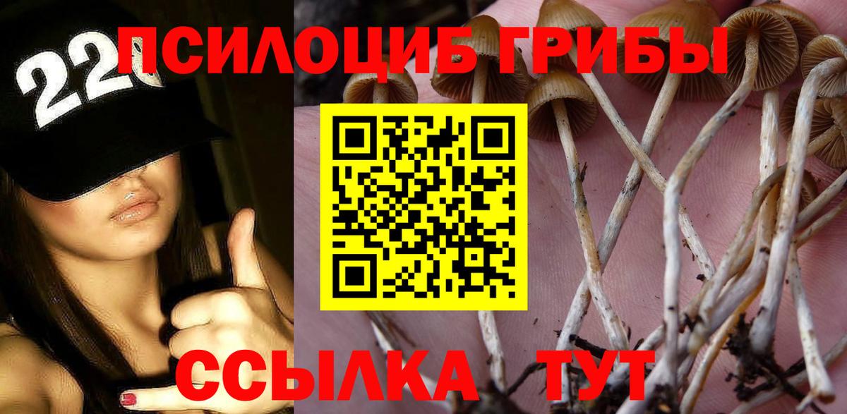 Острогожск  Галлюциногенные грибы ЛСД  магазин продажи наркотиков  Вход с VPN 